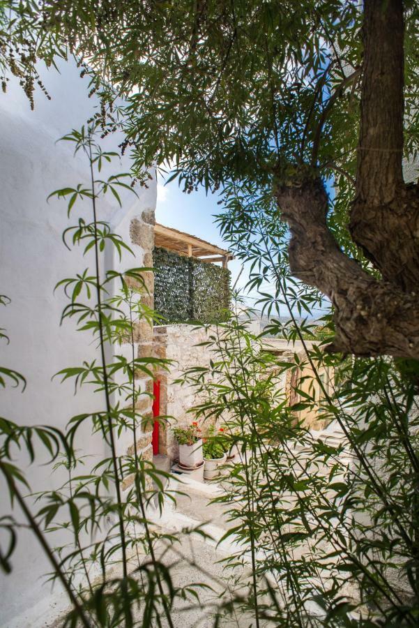 Splendid Sea View Villa Mirsini  ภายนอก รูปภาพ
